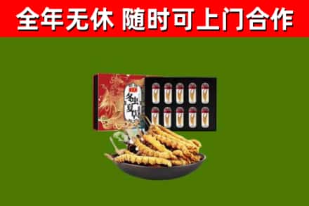 珠海烟酒回收冬虫夏草礼盒.jpg