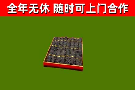 珠海回收海参